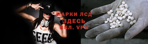 гашиш Богданович