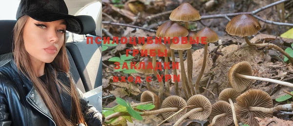 MESCALINE Бородино