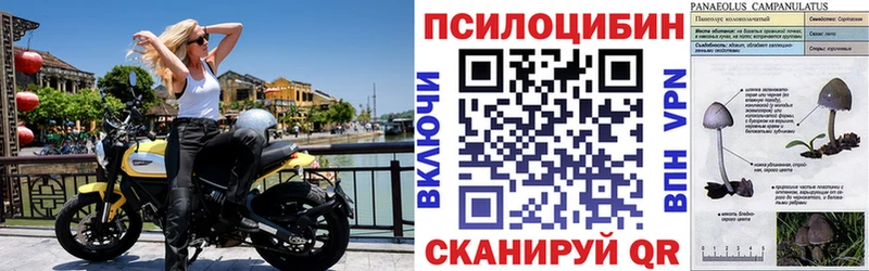 Галлюциногенные грибы прущие грибы  Купить закладки  Урюпинск 
